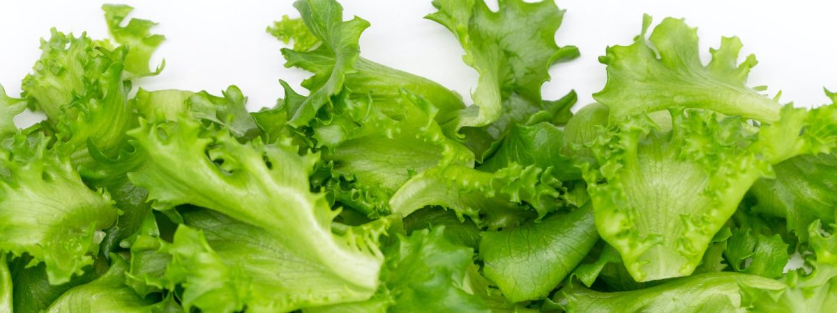 green vegetable on white background